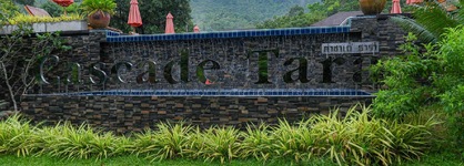 Cascade Tara