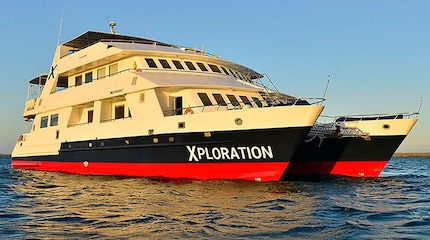 Foto Celebrity Xploration