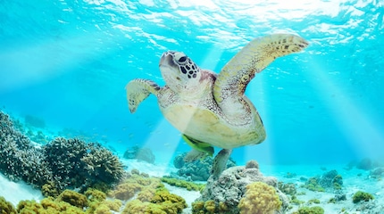 Islas Galápagos