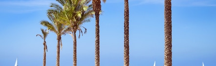 Torrevieja