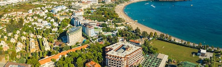 Okurcalar