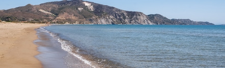 Laganas