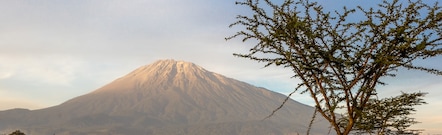 Arusha