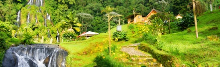 Pereira