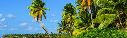 Jamaica