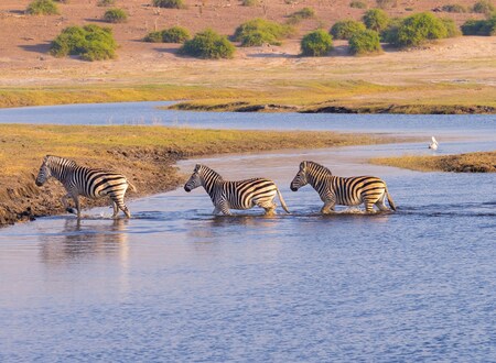 Resultado de imagen de safari kenia