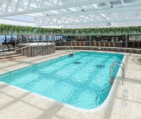 Piscina Jungle