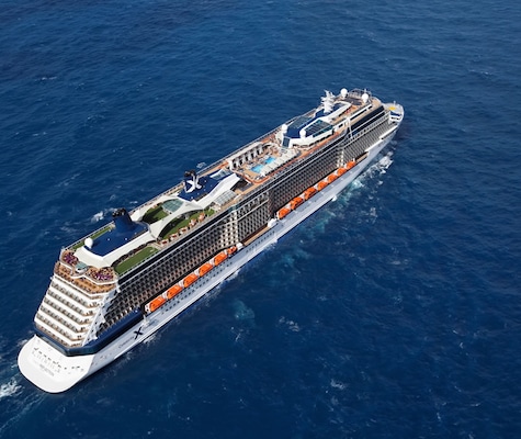 Celebrity Reflection