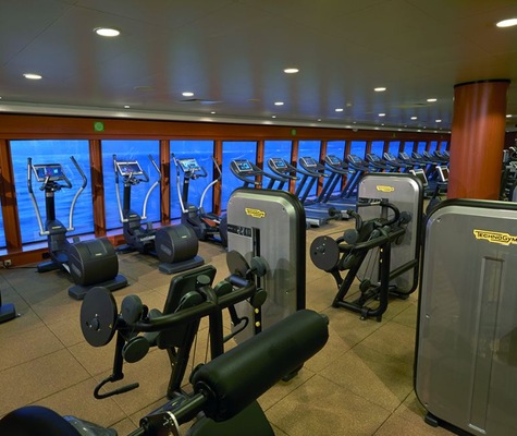 Pulse Fitness
