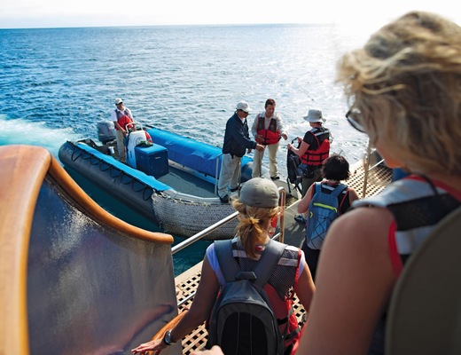 Excursion en Zodiac
