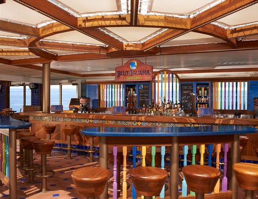 Imágen Carnival Liberty 12