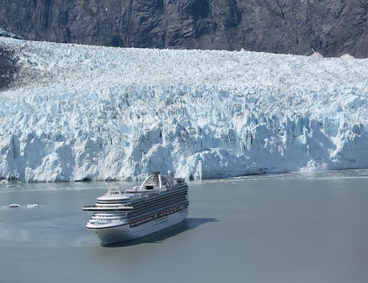 Imágen Crown Princess 15