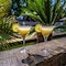 Hotel Cuevas - Adults Only - map