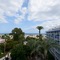 Hotel Palmasol Puerto Marina - map