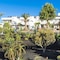 Hotel Floresta - map