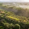 Maya Ubud Resort And Spa - map