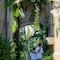 Pueblo Bonito Emerald Bay Resort & Spa - All Inclusive - map