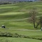 UNA Poggio Dei Medici Golf Club - map