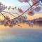 Capital Hilton - map