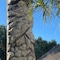 Springhill Suites By Marriott Orlando Lake Buena Vista South - map