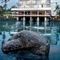 Outrigger Keauhou Beach - map