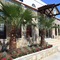 Club Paloma Apart Gumbet - map