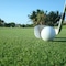 Cofresi Palm Beach & Spa Resort All Inclusive - map