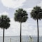 Four Seasons Hotel Miami - map