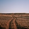 Namib Desert Lodge - map