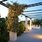 Hotel Al Mulino - Mediterranean Garden Retreat In Anacapri - map