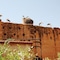 Riad Carina - map