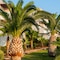 Grand Hotel Holiday Resort - map