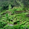 Puri Dalem Cottages - map