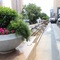 Crowne Plaza Shenyang Parkview - map