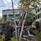Hilton Garden Inn Freeport Downtown - map