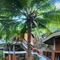The Hideaway Pariya Haad Yuan Ko Pha-Ngan - map