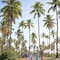 Grand Palladium Imbassai Resort & Spa All Inclusive - map