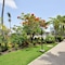 Royal St. Kitts Hotel - map