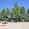 Extended Stay America - Austin - Arboretum - South - map