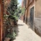 Riad Lauriers Blancs - map