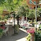 Hotel Girasole - map