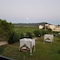 Eleni's Garden & Castello Suites - map