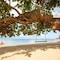 Explorar Koh Phangan to Explorar Koh Phangan - Adults Only Resort 16+ - map