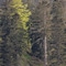 Le Clos Du 5 - Appart Hotel Bagneres - map