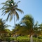Caribbean Villas Hotel - map