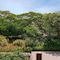 El Mangroove Papagayo, Autograph Collection - map