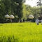 Alaya Resort Ubud - map