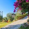Villa Ariadni - map