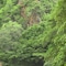 Leopard Mountain Safari Lodge - map