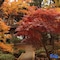 Yumoto Takubokutei - map